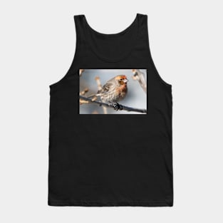 Mr. finch Tank Top